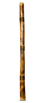 Rope & Burnt Finish Didgeridoo (TW491)